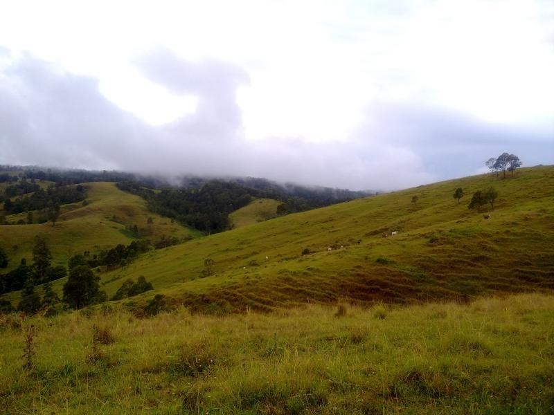 Wattle Tree Road & Flat Tops Road, Marshdale NSW 2420