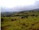 Wattle Tree Road & Flat Tops Road, Marshdale NSW 2420