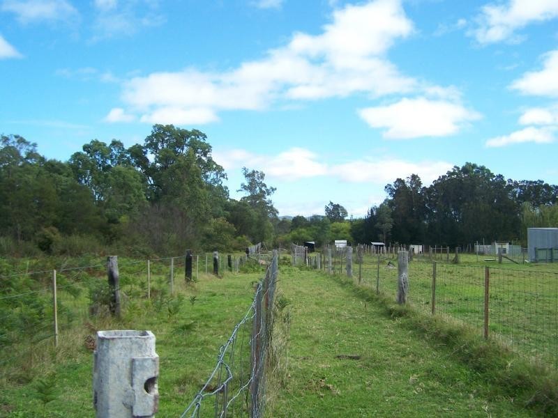 238 Quorrobolong Road, Kitchener NSW 2325