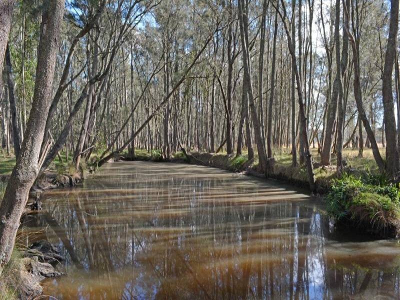 345 Quorrobolong Road, Quorrobolong NSW 2325