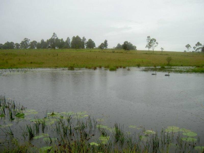 Killabakh NSW 2429