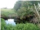 Killabakh NSW 2429