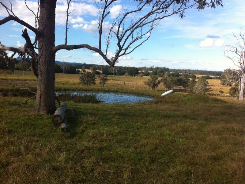 Killabakh NSW 2429