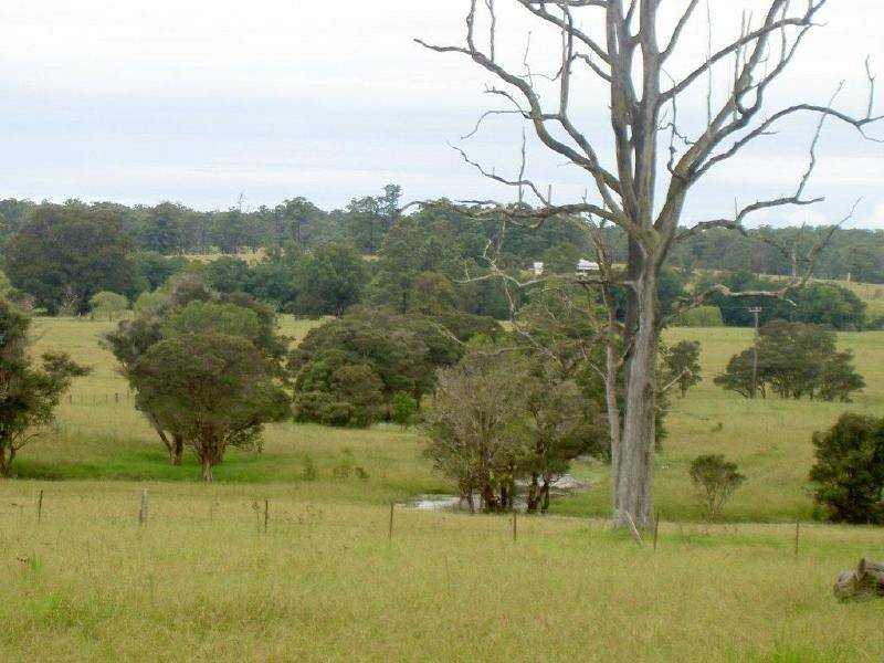 Killabakh NSW 2429