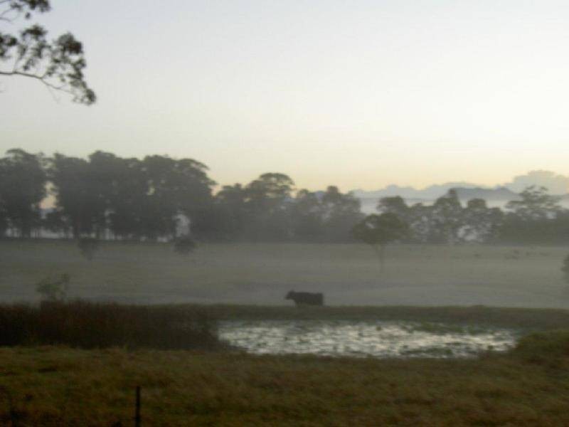 Killabakh NSW 2429
