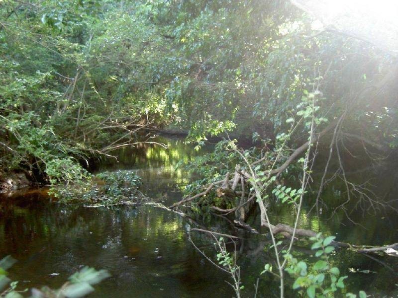 Killabakh NSW 2429
