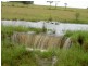 Killabakh NSW 2429