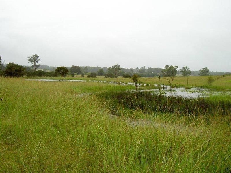 Killabakh NSW 2429