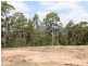 574 Sandy Creek Road, Quorrobolong NSW 2325