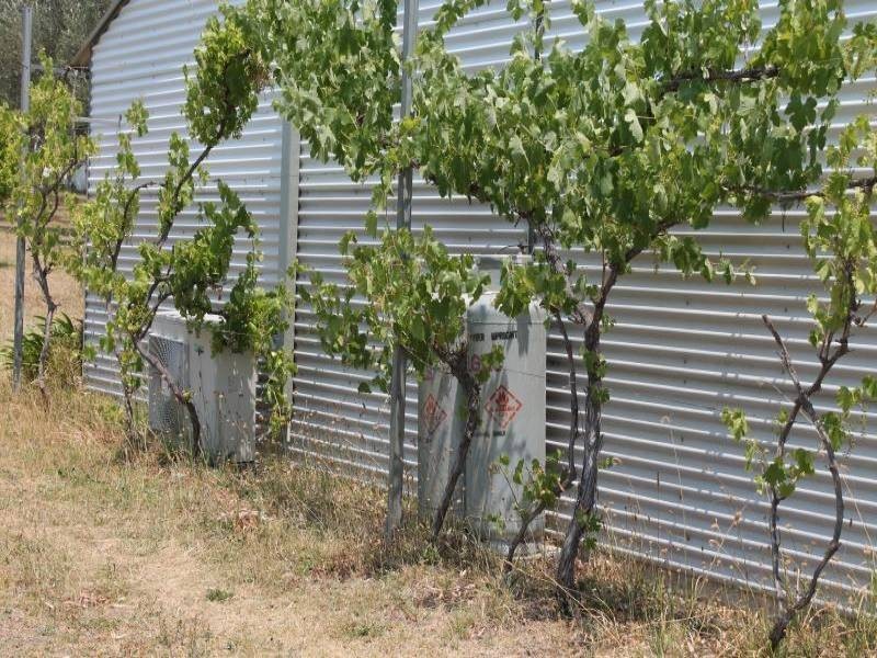 123 Milbrodale Road, Milbrodale NSW 2330