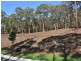 Lots 1-8 Norman Avenue, Sunshine NSW 2264