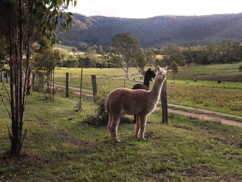 1215 Congewai Road, Congewai NSW 2325