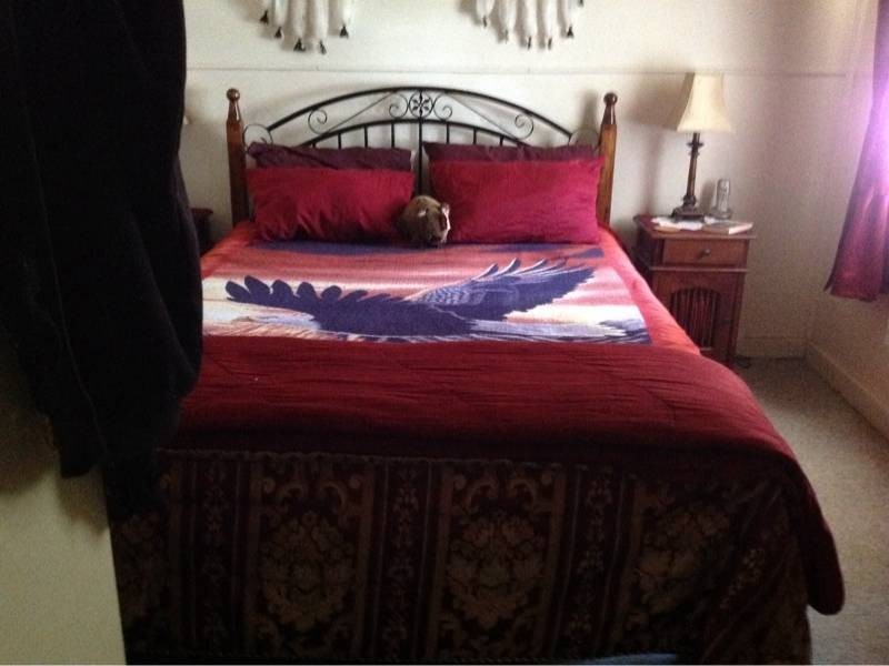 74 Catherine Street, Cessnock NSW 2325