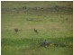 Howes Valley NSW 2330