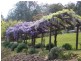Ellalong NSW 2325