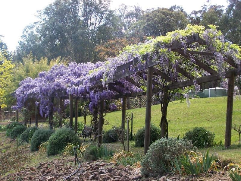 Ellalong NSW 2325