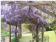 Ellalong NSW 2325