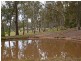 68 Dunlop Drive, Paxton NSW 2325