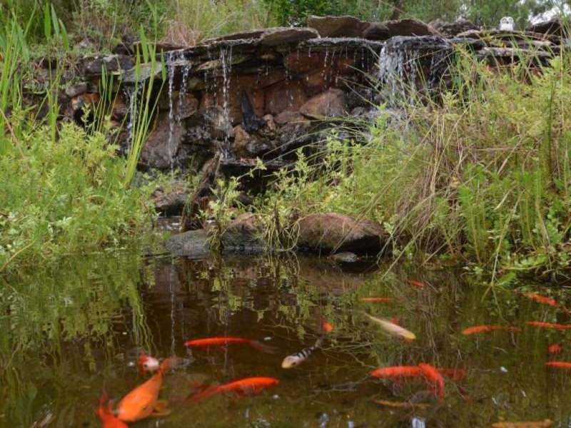 24-26 Campbell Street, Ellalong NSW 2325