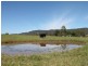 1731 Mount View Road, Millfield NSW 2325