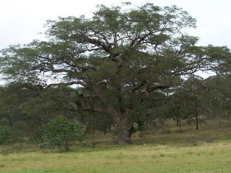 Lot/108 Settlers Way, Howes Valley NSW 2330