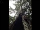 Quorrobolong NSW 2325