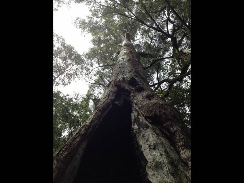 Quorrobolong NSW 2325