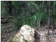 Quorrobolong NSW 2325