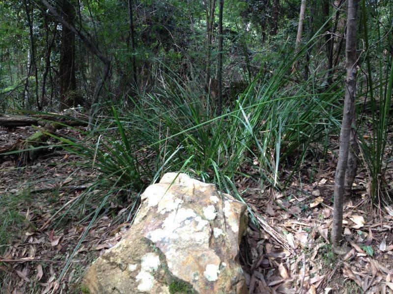 Quorrobolong NSW 2325