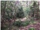 Quorrobolong NSW 2325