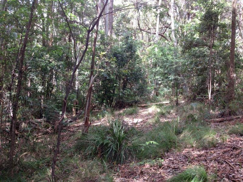 Quorrobolong NSW 2325