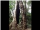 Quorrobolong NSW 2325