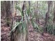 Quorrobolong NSW 2325