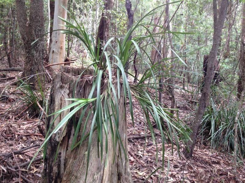 Quorrobolong NSW 2325