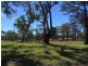Lot 168 Vulture, Ellalong NSW 2325