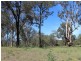 Lot 168 Vulture, Ellalong NSW 2325
