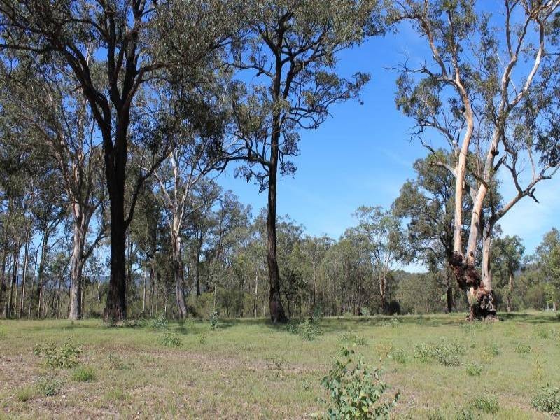 Lot 168 Vulture, Ellalong NSW 2325