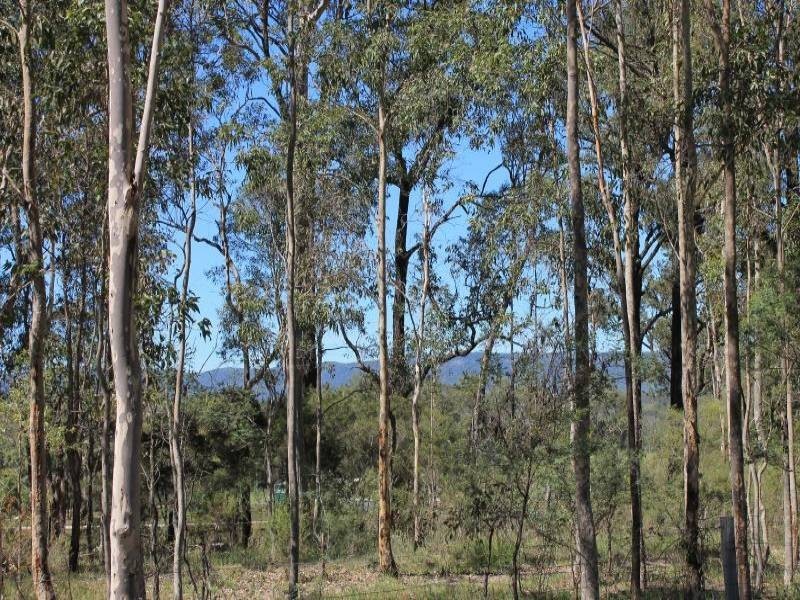 Lot 168 Vulture, Ellalong NSW 2325
