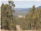 Congewai NSW 2325