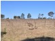 269 Talga Road, Rothbury NSW 2320