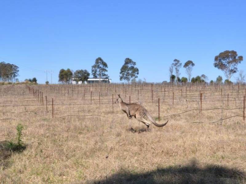 269 Talga Road, Rothbury NSW 2320