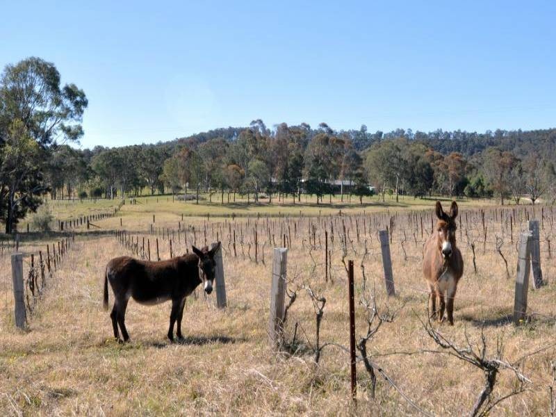 269 Talga Road, Rothbury NSW 2320
