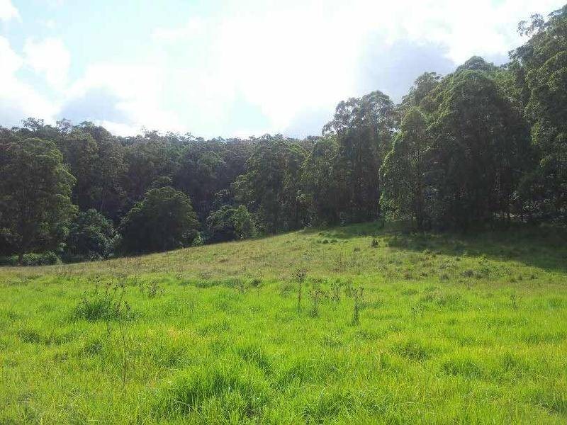 1379 Mount View Road, Millfield NSW 2325