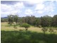 1379 Mount View Road, Millfield NSW 2325