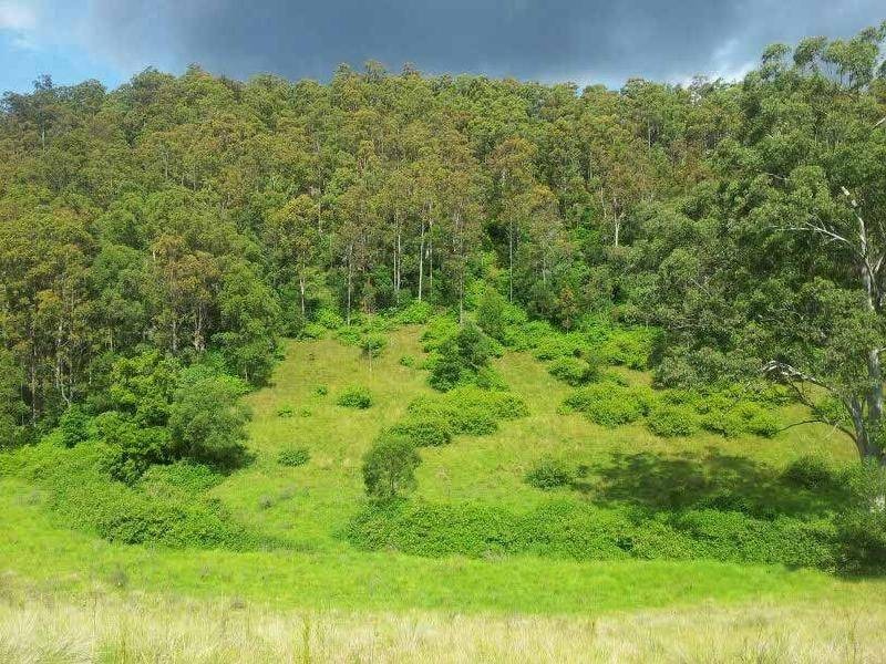 1379 Mount View Road, Millfield NSW 2325