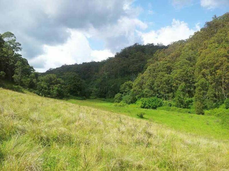1379 Mount View Road, Millfield NSW 2325
