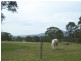 Brunkerville NSW 2323