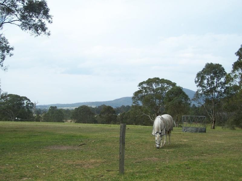 Brunkerville NSW 2323