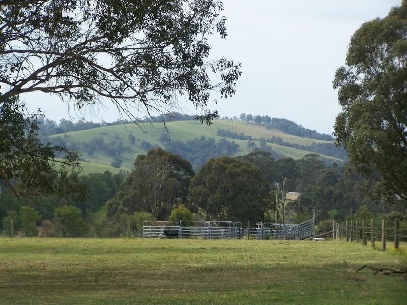 Brunkerville NSW 2323