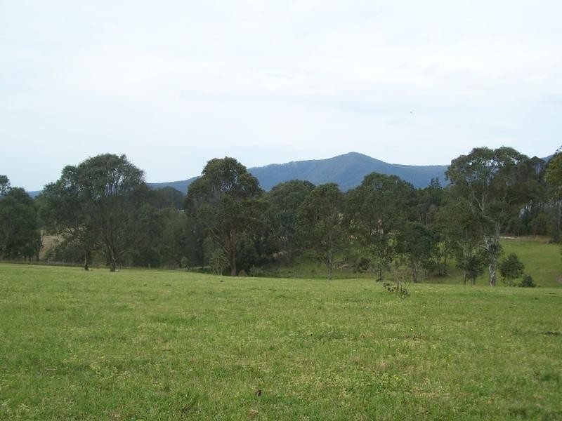 Brunkerville NSW 2323